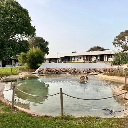 Apartmán Binivell Park - Caliu *